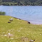 Ritratto Sul 3* Dormelletto