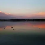 Ritratto Sul Dormelletto