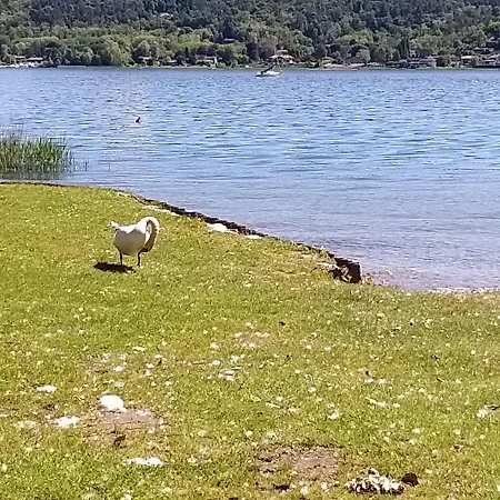 Ritratto Sul 3* 도멜레토