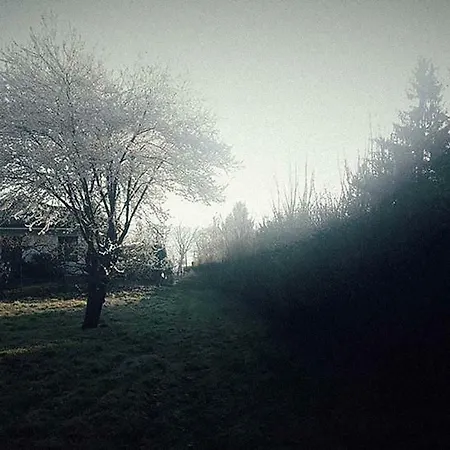 Ritratto Sul B&B 도멜레토